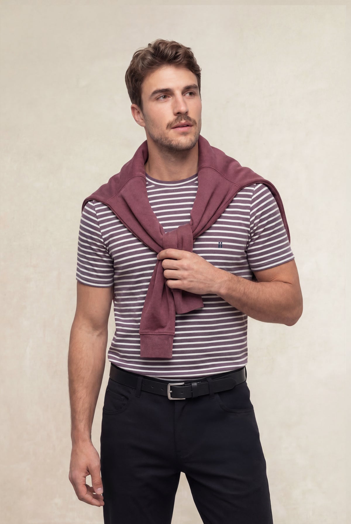 Men's round neck T-shirt with plum striped print Soft